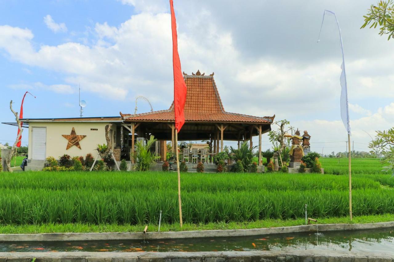 Alisha Pererenan 3* Canggu (Bali)