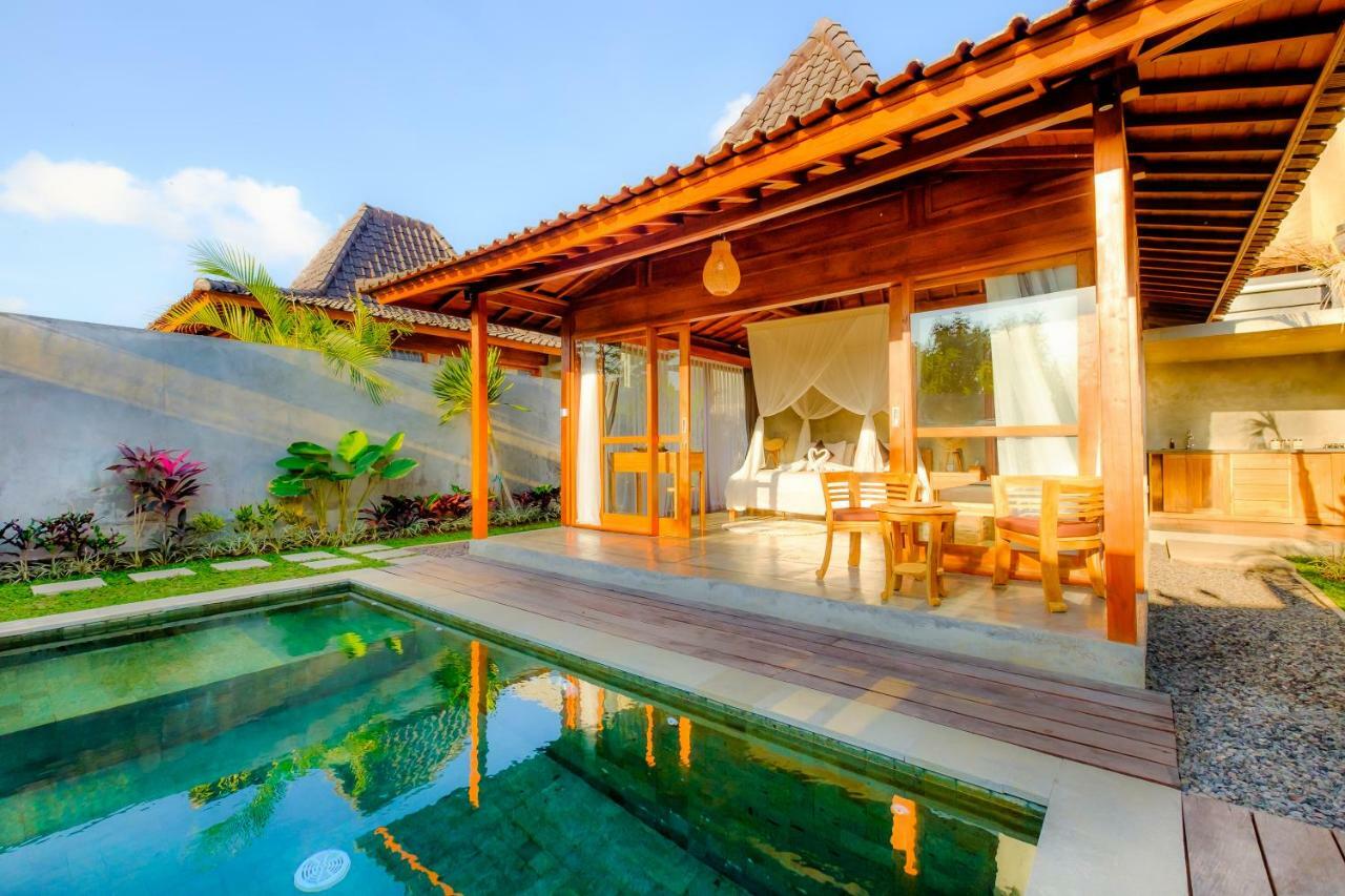 Bed & Breakfast Wooden Paradise 3*