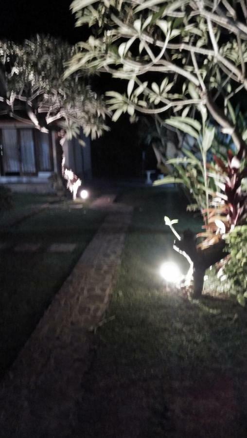 Bed & Breakfast Memes House Backpacker Buleleng (Bali)
