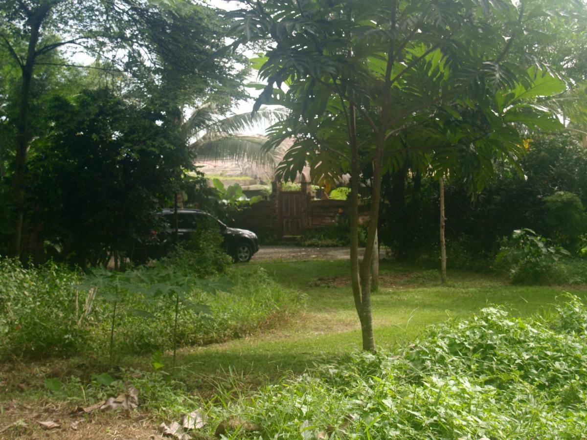 Matekap Selemadeg (Bali)