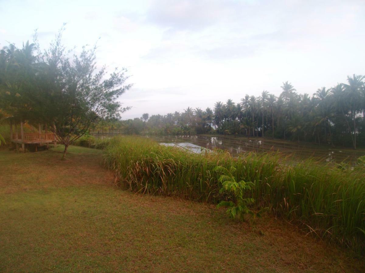 Matekap Selemadeg (Bali)