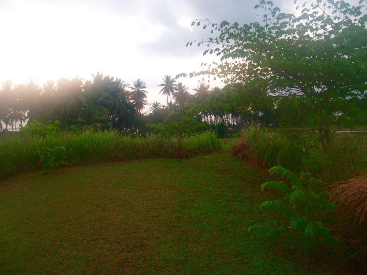 Matekap *
