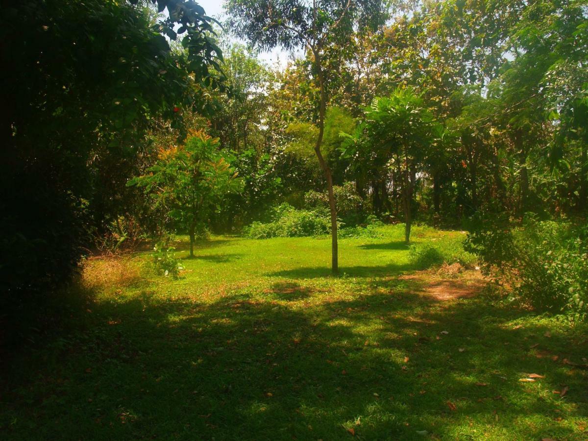 Matekap