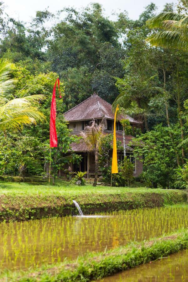 Prana Dewi Mountain 4* Jatiluwih