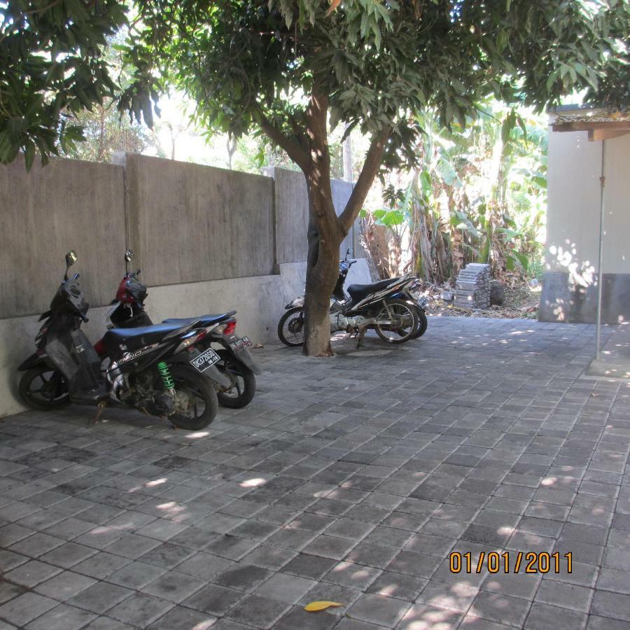 Hostel Aldi
