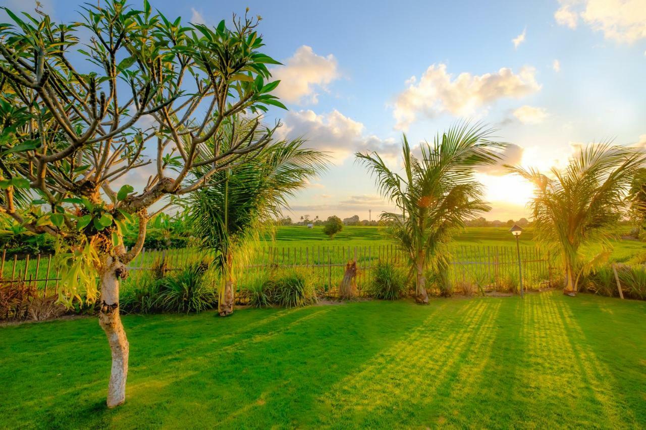 Wooden Paradise Bed & Breakfast Canggu (Bali)