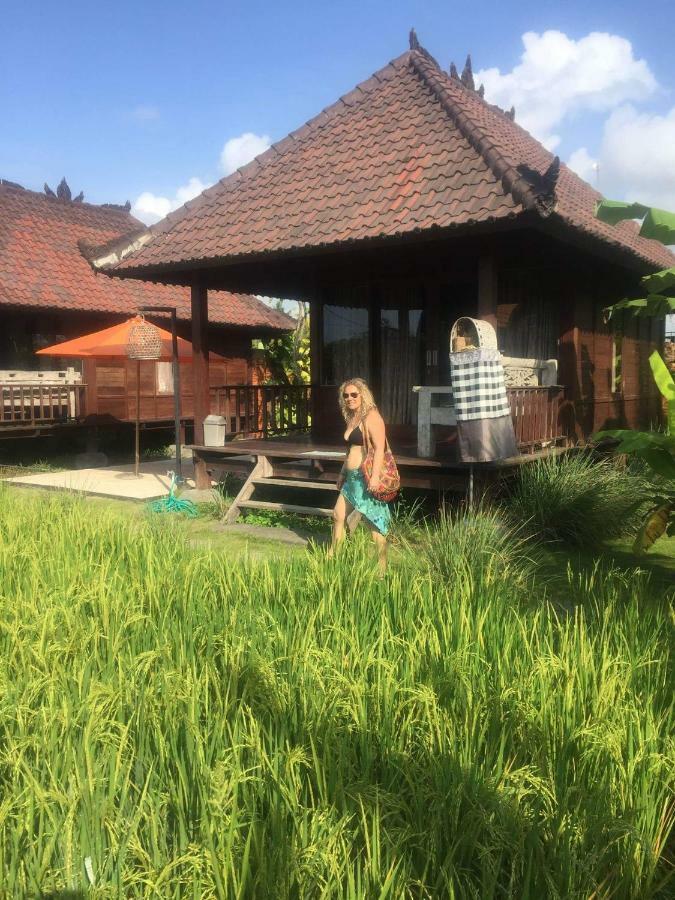Holiday park Surf Camp