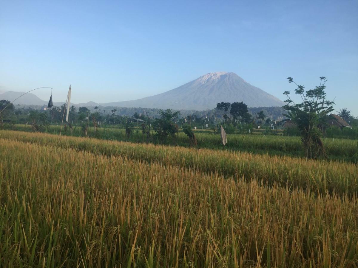 Gumibali Guest house