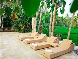 Indigo Tree 3* Ubud (Bali)