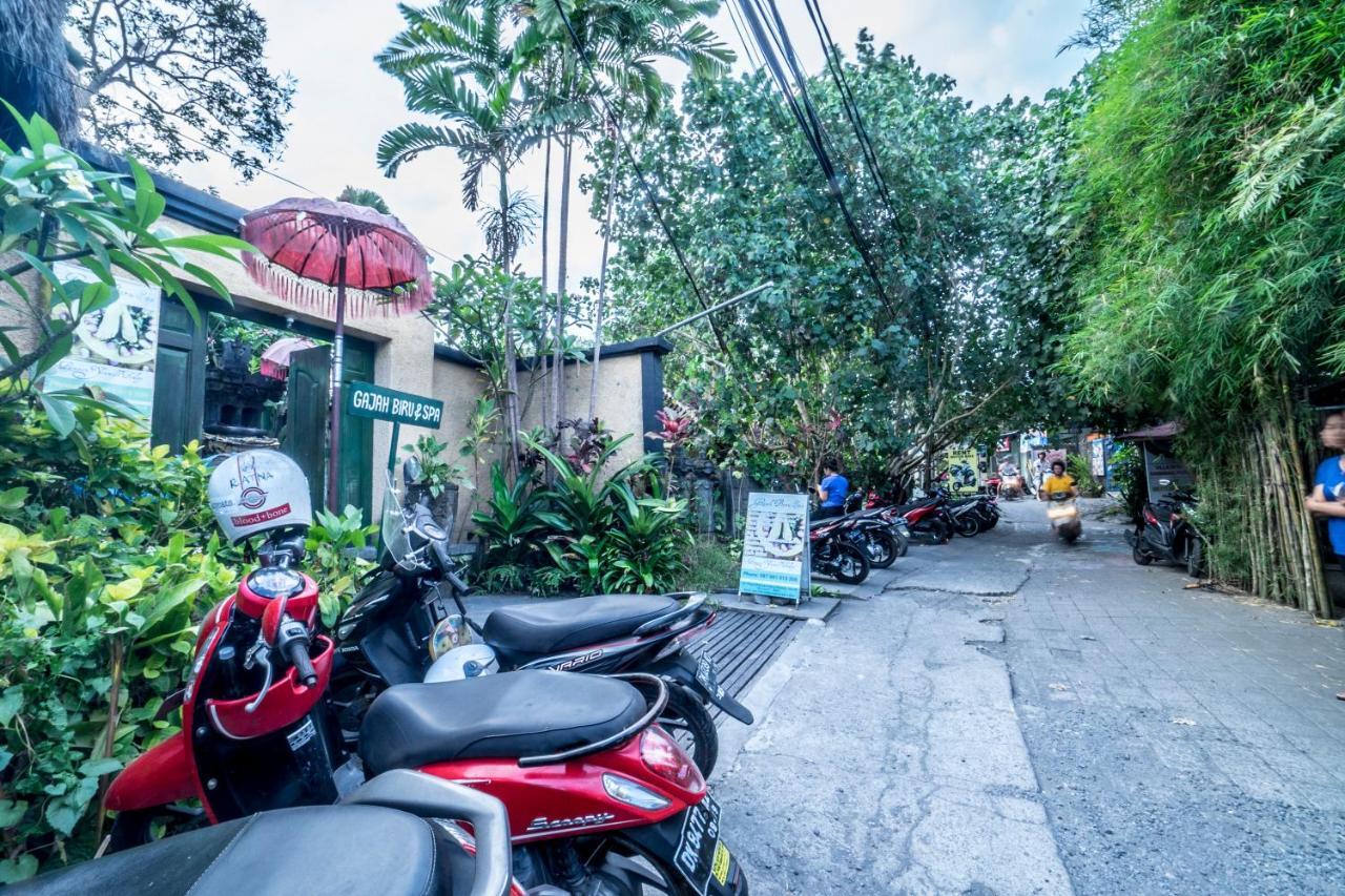 Gajah Biru Guest house