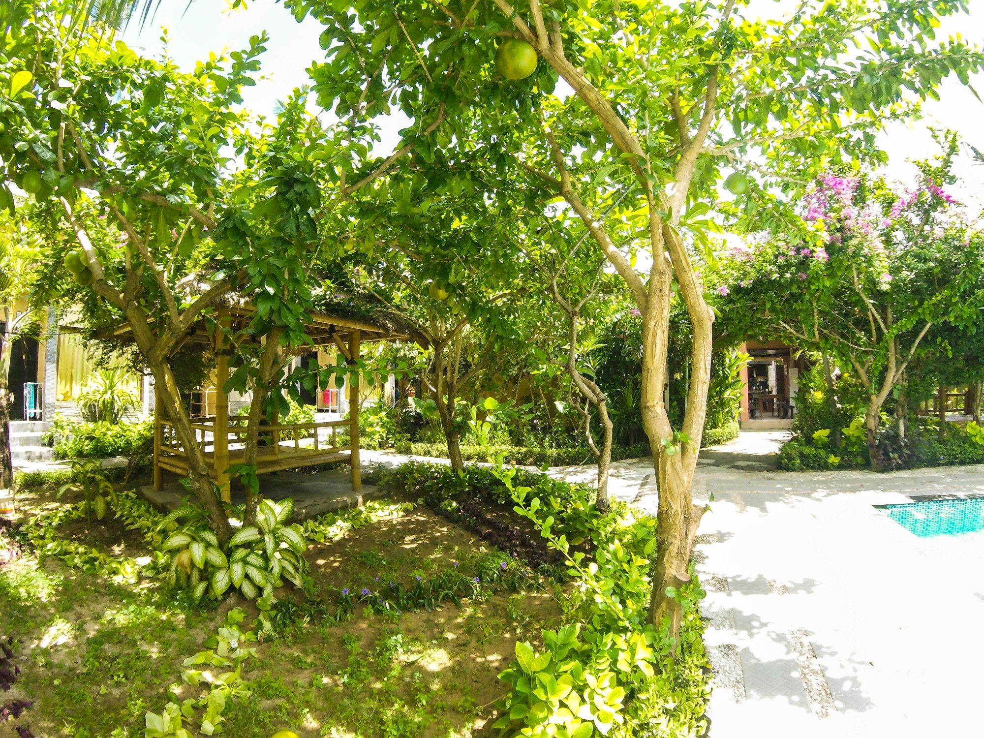 Guest house Bidadari Bali Nusa Dua (Bali)