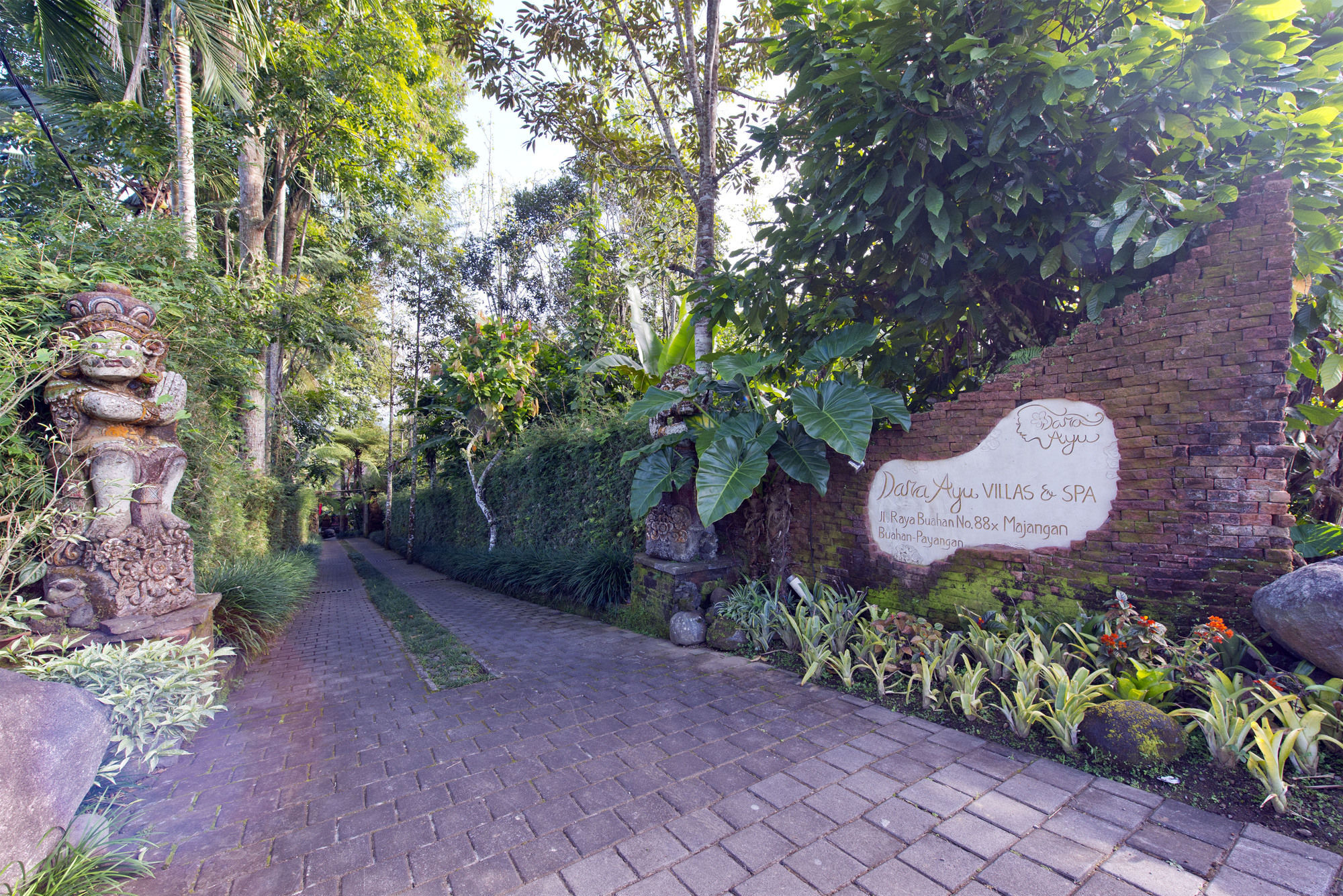 Adiwana Dara Ayu Pacung