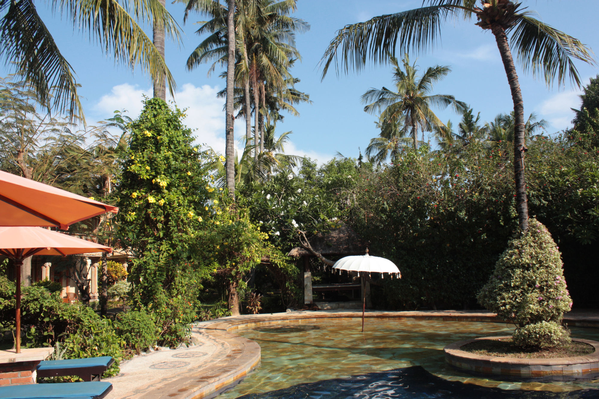 Rambutan Lovina (Bali)