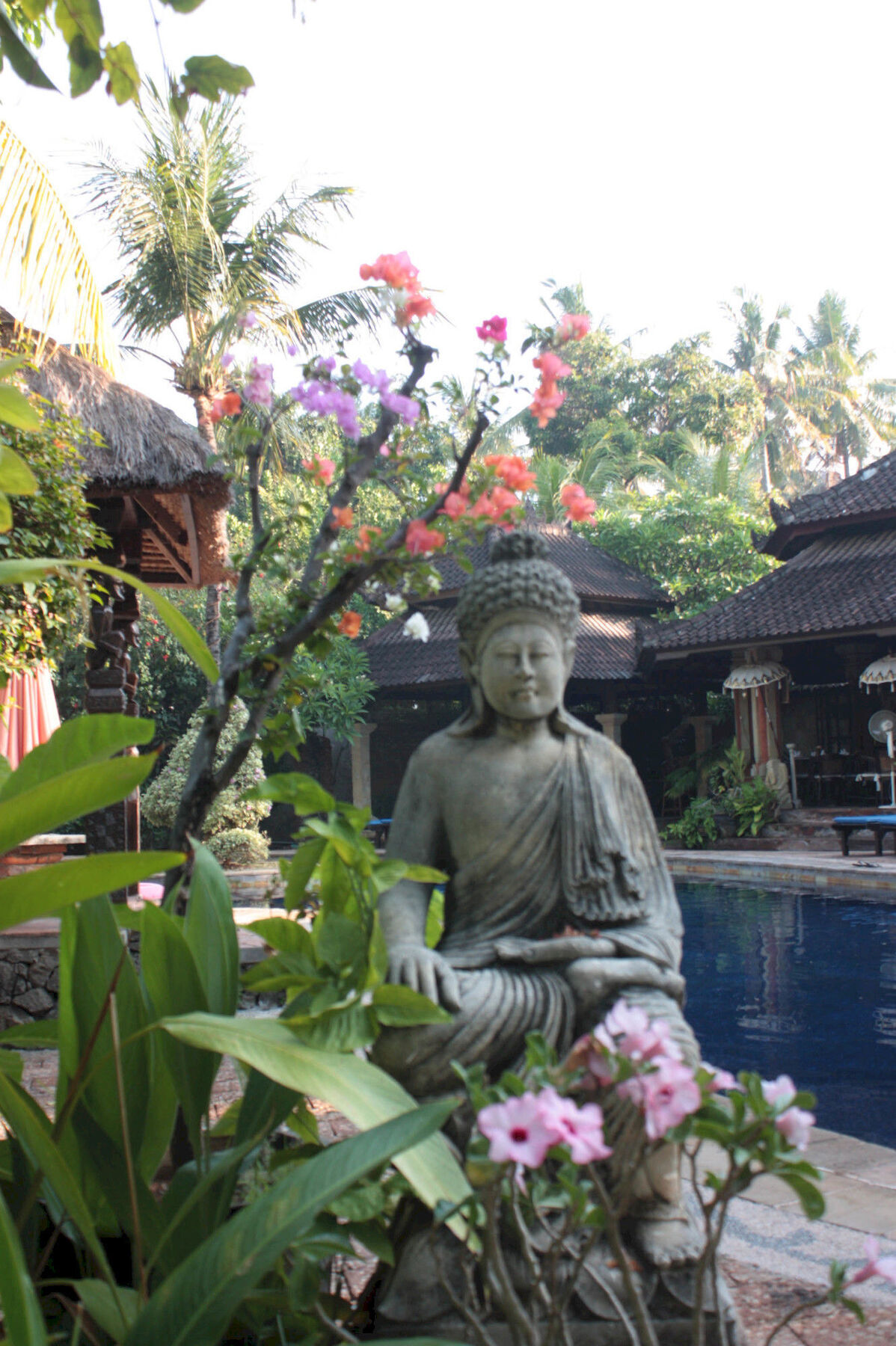Rambutan Hotel