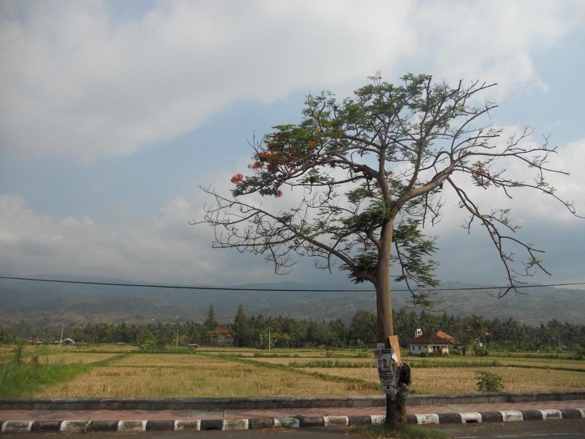 Bali Lovina Hotel 3*