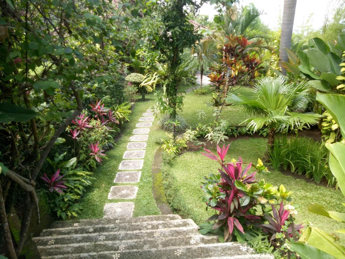 Villa Elina Lovina (Bali)