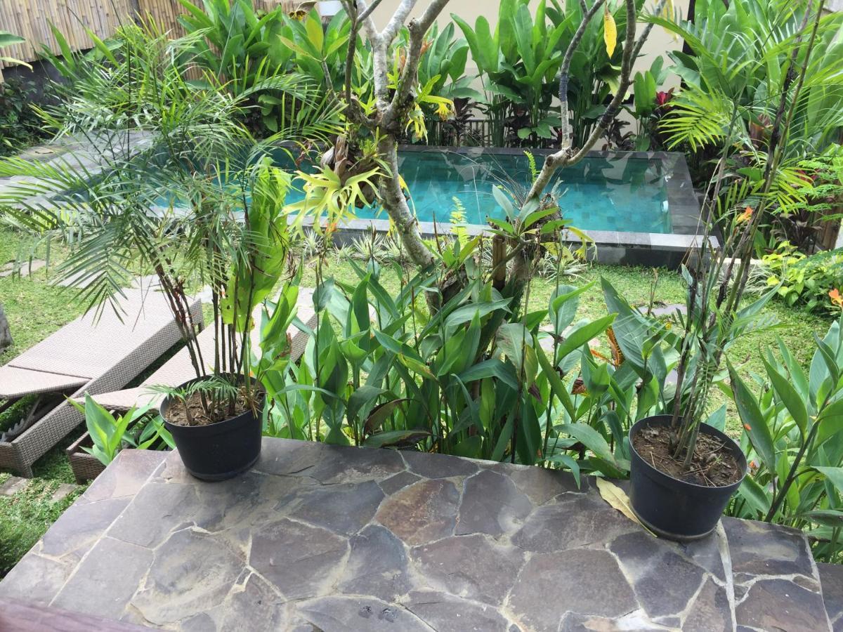 Hidden Point Villa *