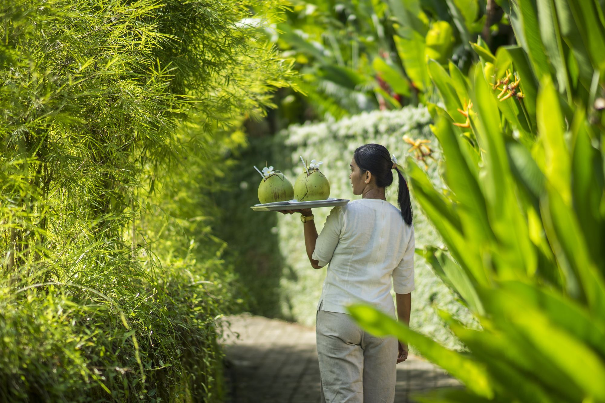 Villa Alami Boutique & Tabanan (Bali)