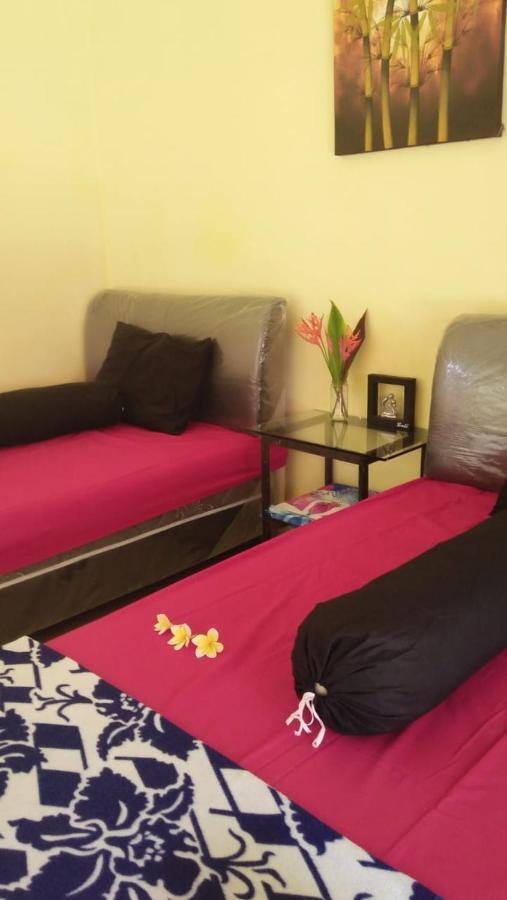 Memes House Backpacker Bed & Breakfast 2*
