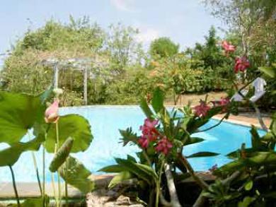 Udayana Kingfisher Eco 2*