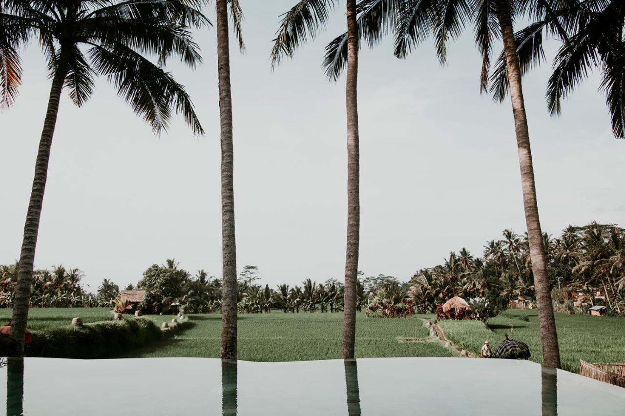 Mathis Retreat Hotel Ubud (Bali)