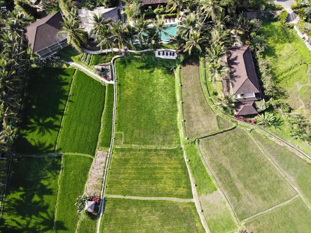 Mathis Retreat Hotel Ubud (Bali)