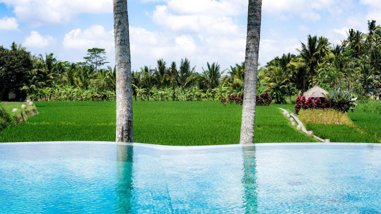 Hotel Mathis Retreat