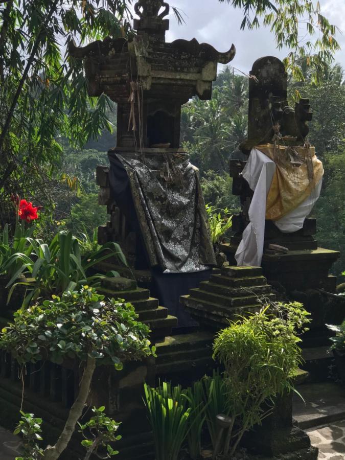Villa Bali Djodji