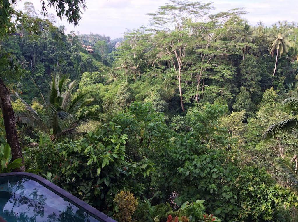 Villa Awang Awang