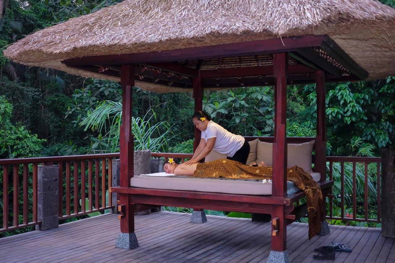 Ubud Hills & Tegallalang (Bali)