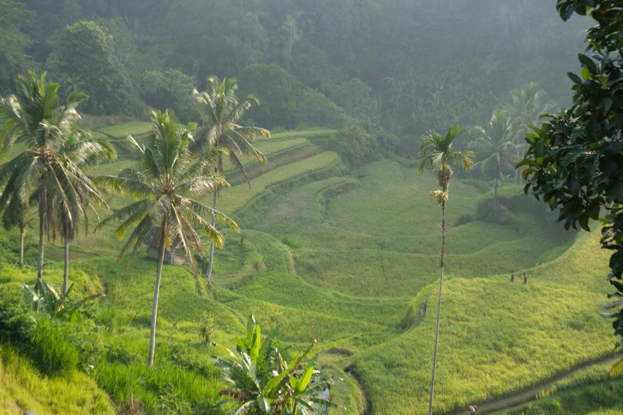 Resort Suarapura & 4*
