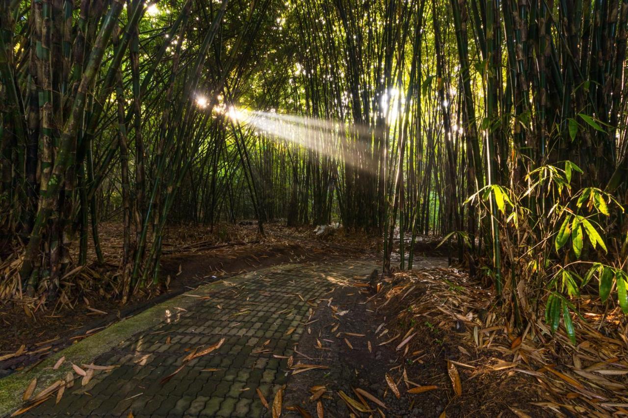 Keliki Luxury Ubud (Bali)