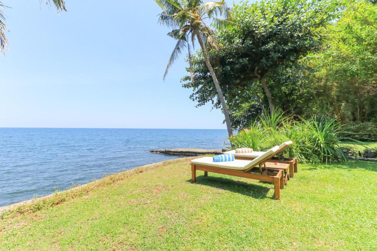 Palm Bali