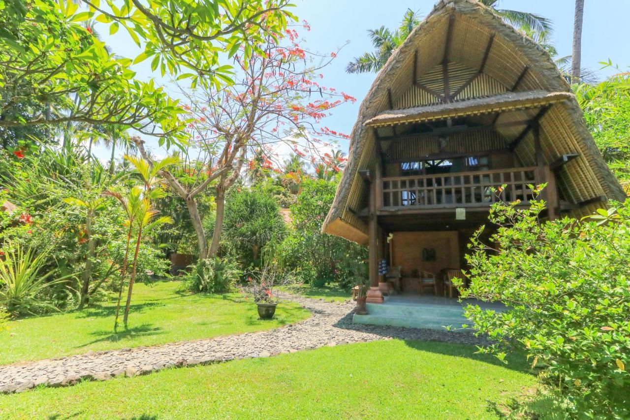 Palm Bali