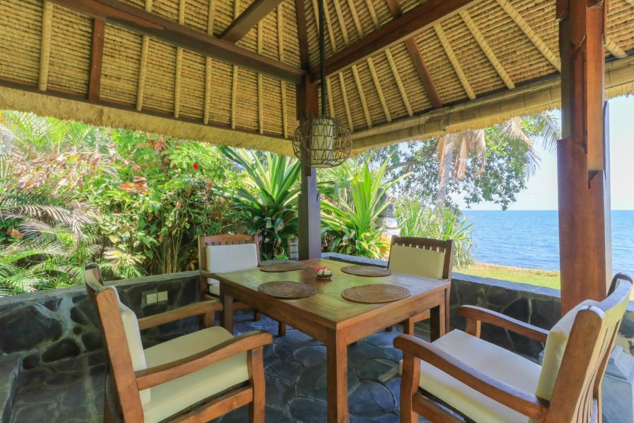 Palm Bali