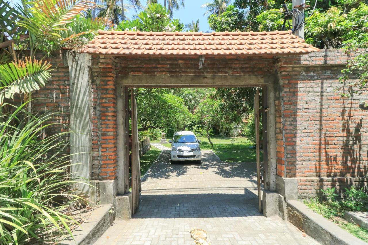 Palm Bali *