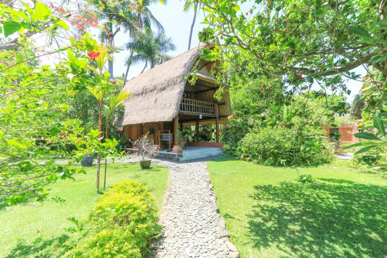 Palm Bali
