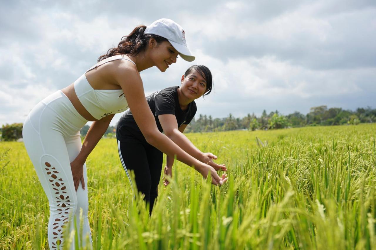 Resor Puri Gangga Ubud Tegallalang (Bali)