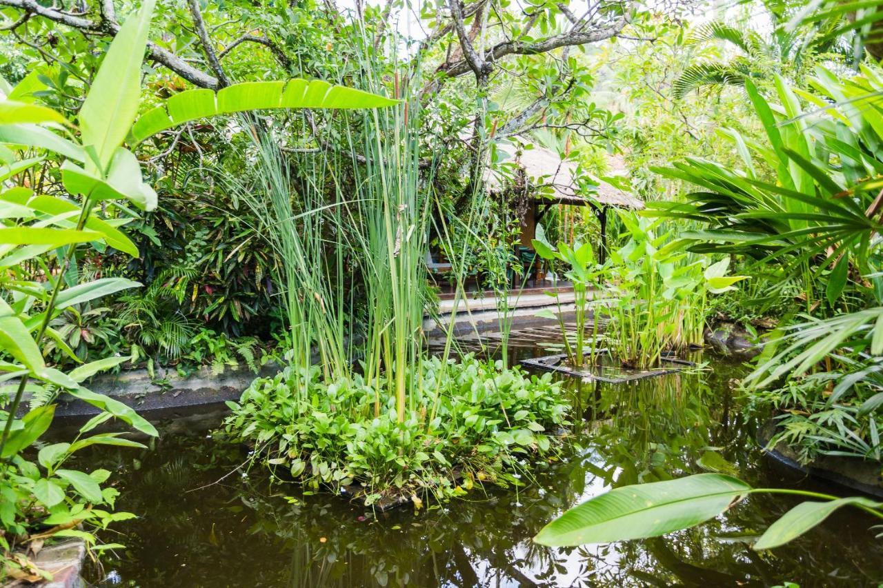 The Water Garden