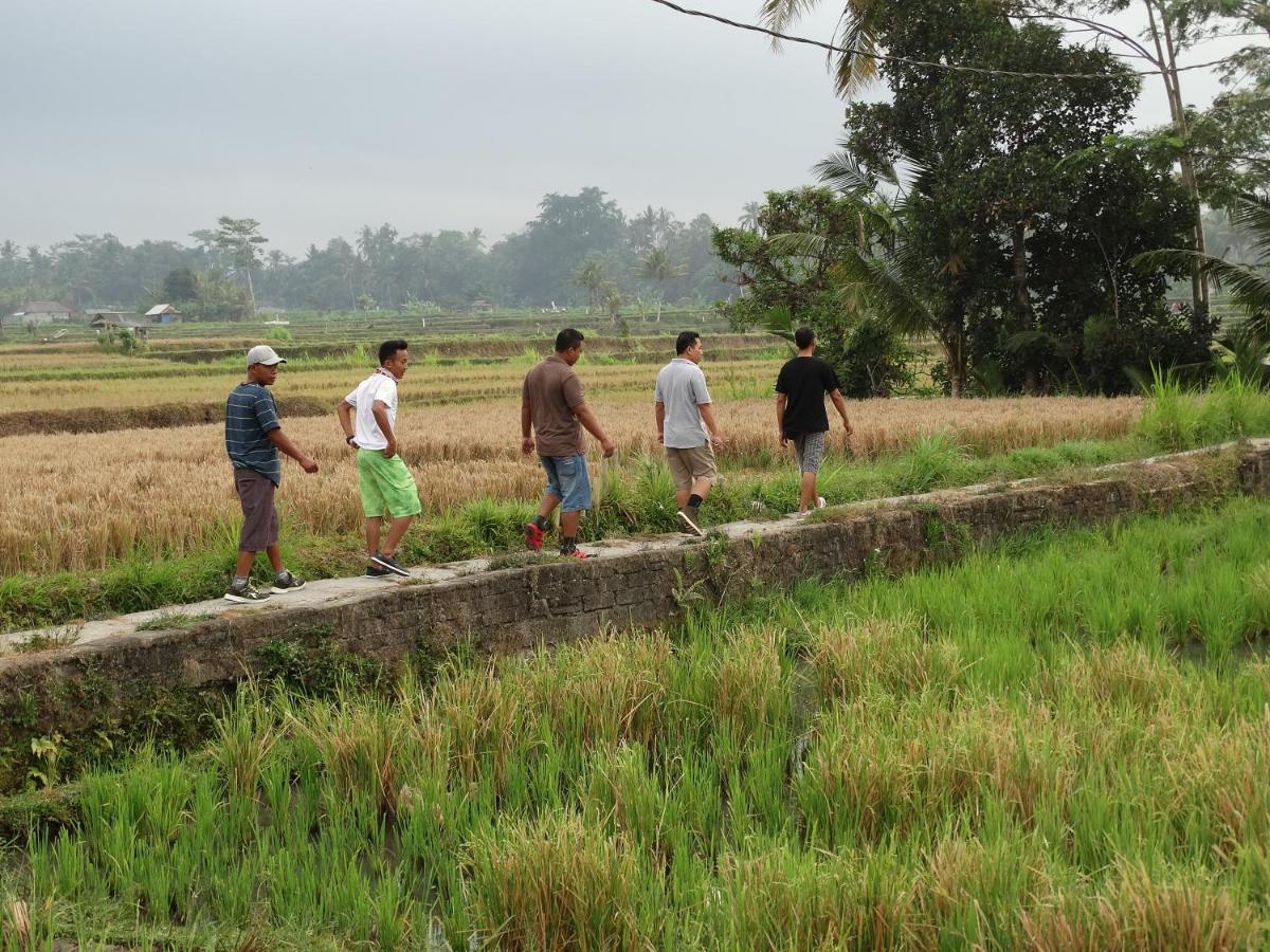 Onje And 4* Ubud (Bali)