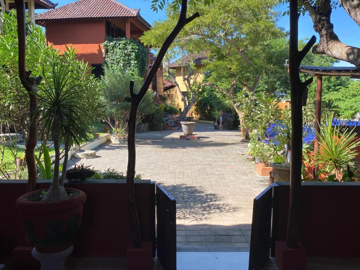 Anjing 2 Nusa Dua (Bali)