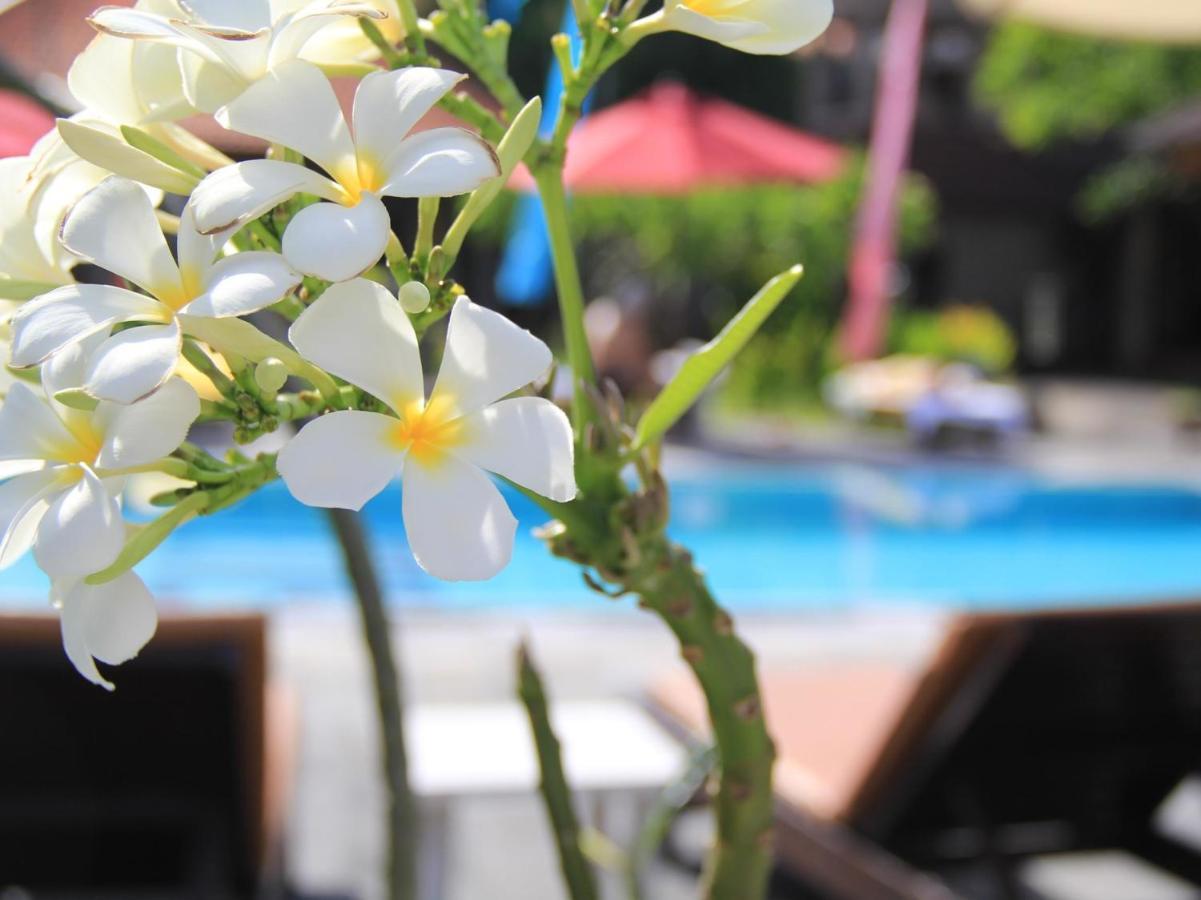 Suji Guest house Kuta (Bali)