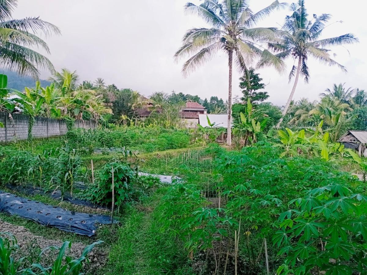 Guest house Khrisna Hs And