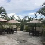 Coconuts Hummingbird
