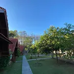 Beautiful House