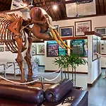 Mason Elephant Lodge