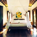 Nandini Jungle By Hanging Gardens