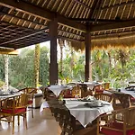 Nandini Jungle By Hanging Gardens