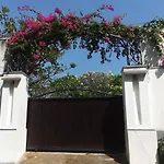 Lovina Paradise