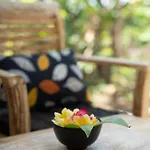 Jepun Didulu Cottages